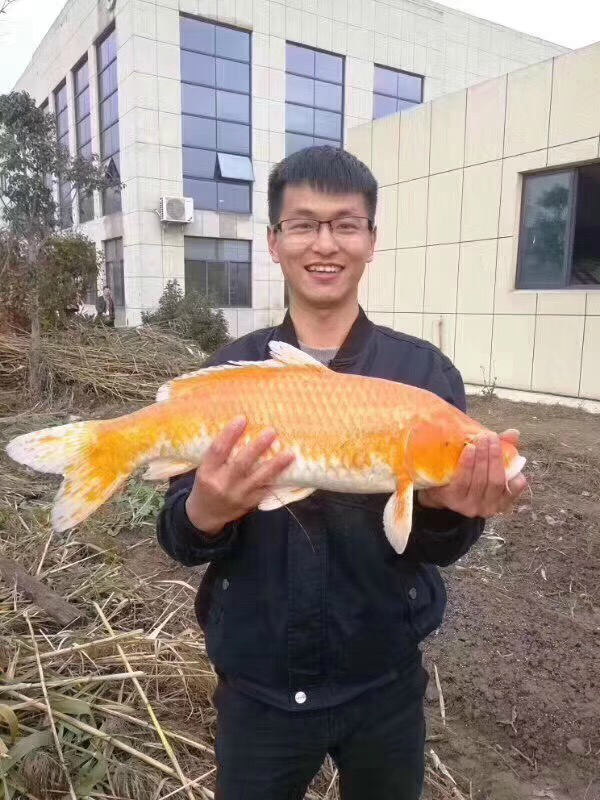 时创锦鲤王_meitu_25.jpg